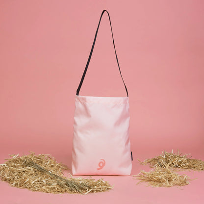 Schweine-Simple Baq